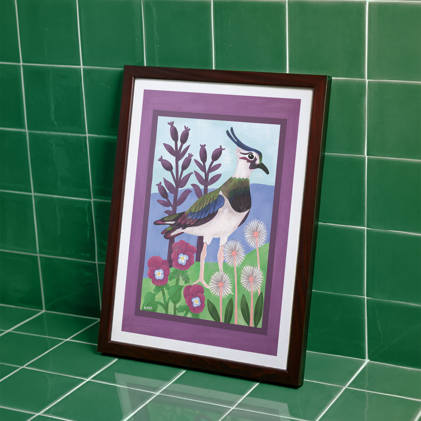 Lapwing Bird Art Print