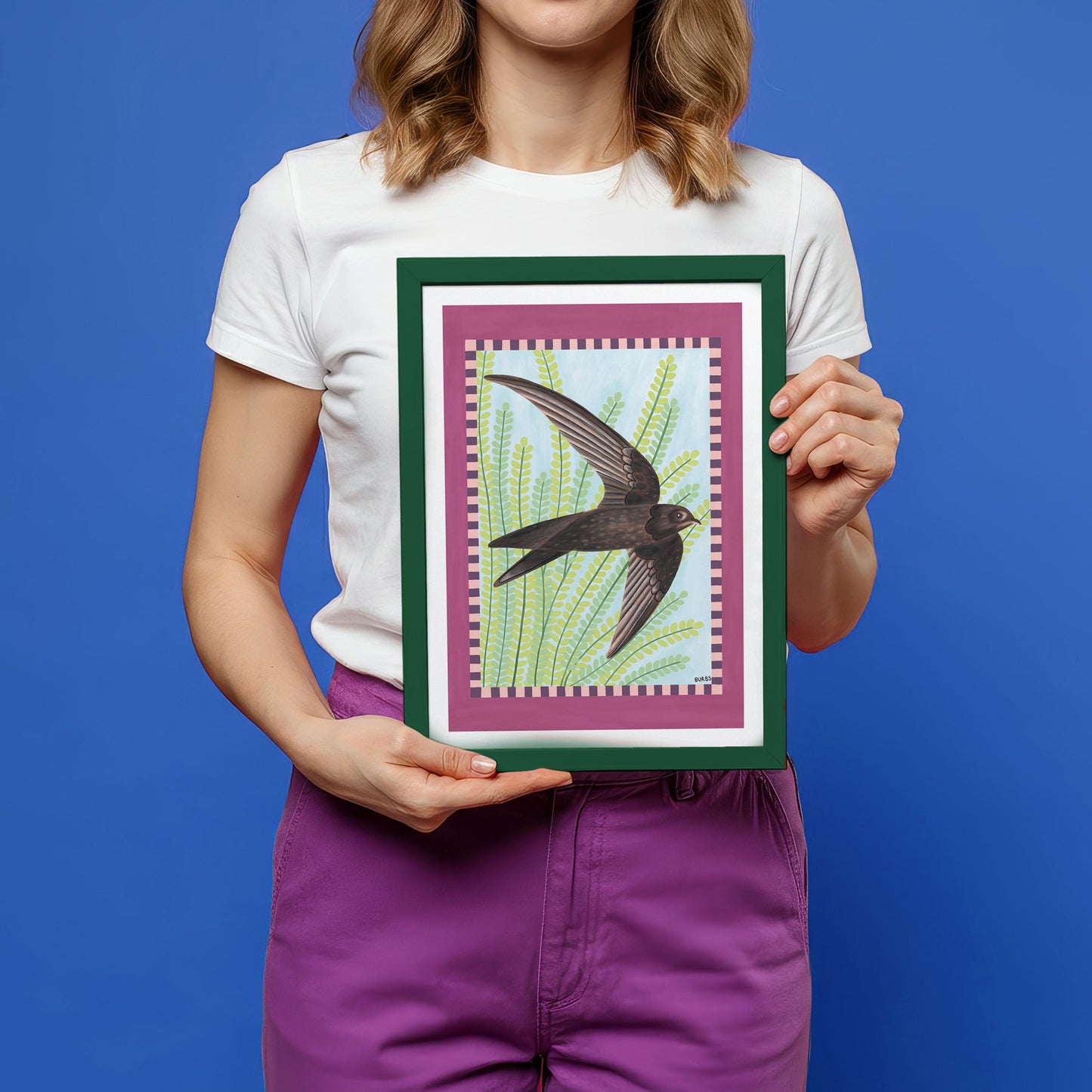 Swift Bird Art Print