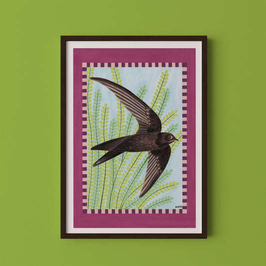 Swift Bird Art Print